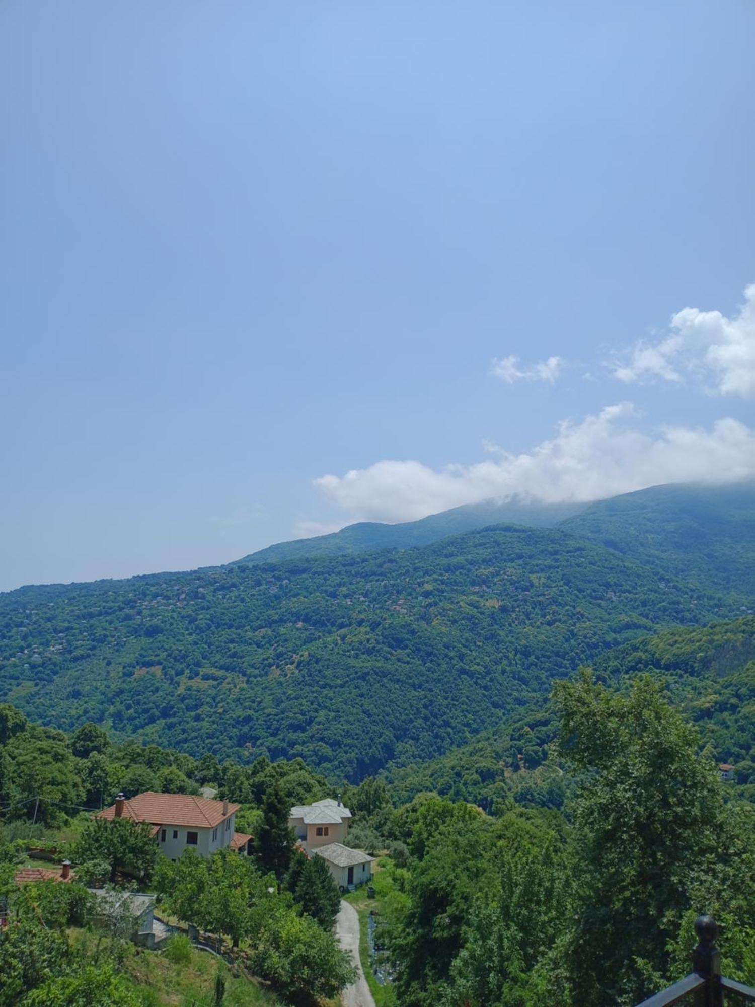 Hotel Erotas Áyios Dhimítrios Dış mekan fotoğraf