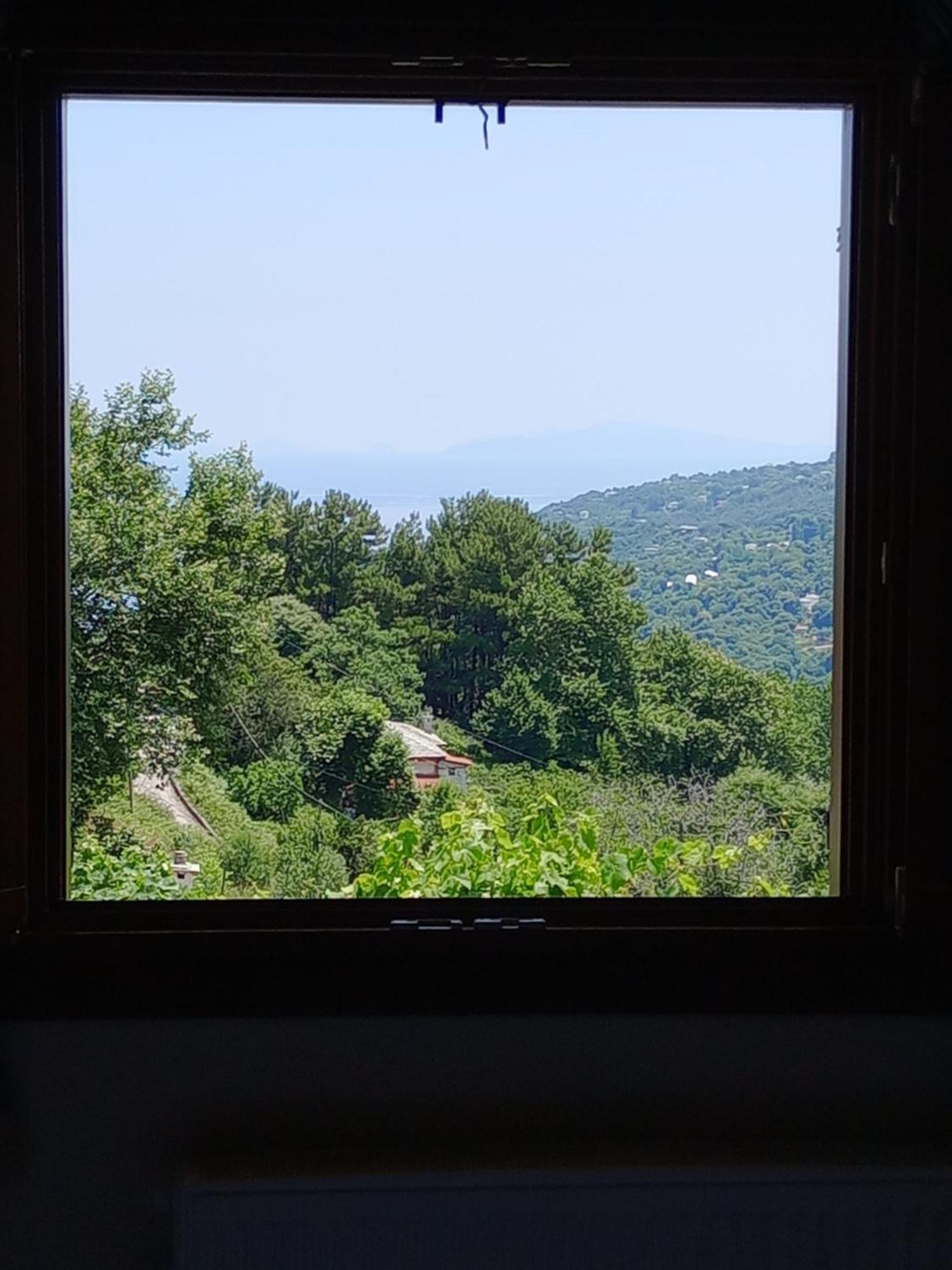 Hotel Erotas Áyios Dhimítrios Dış mekan fotoğraf